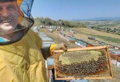 Samsun’da yetiştirdiği kestane balı ile ülkesi Bosna Hersek’te altın madalya kazandı