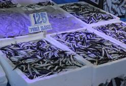 Balık tezgahlarında iri hamsi umudu