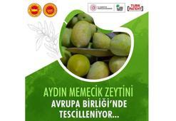 Aydın Memecik zeytini, Avrupa Birliği’nde tescilleniyor