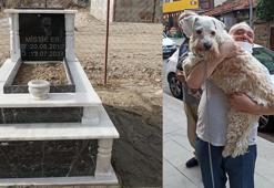 Ölen köpeği için arsa satın alıp, mezar yaptırdı