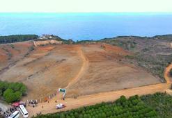 Şile'de 100 bin fidan toprakla buluştu