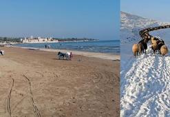 Toroslar'da kar, Akdeniz'de bahar havası