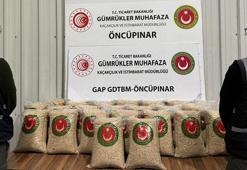 Öncüpınar'da 1 milyon 380 bin uyuşturucu hap ele geçirildi
