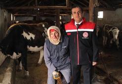 Erzincan'da 1400 kadın tarım ve hayvancılık yapıyor