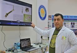 Prof. Dr. Satar: Sivrisineklerle mücadelede bölgenin ekolojik yapısı göz önüne alınmalı, sayıları artabilir