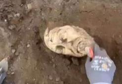 Denizli'de daha önce gövdesi bulunan heykelin başı da gün yüzüne çıkarıldı