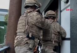 9 ilde organize suç örgütü operasyonu: 130 gözaltı