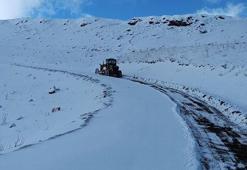Van'ın yüksek kesimlerine kar yağdı