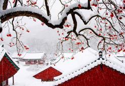 Güney Kore’de kış aylarında en çok ziyaret edilen bölgeler