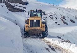 Van'da karla mücadele çalışması