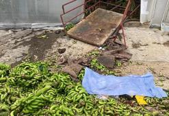 Muz serasındaki 2 kişinin öldüğü kazaya 2 tutuklama