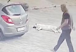 Köpeğin üzerinden geçip yoluna devam etti; o anlar kamerada