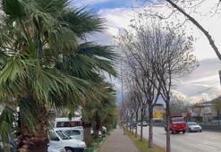 Bursa'yı lodos vurdu; itfaiye 128 ihbara müdahale etti