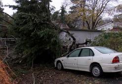 Şiddetli lodos ağaçları devirdi; çatıları uçurdu