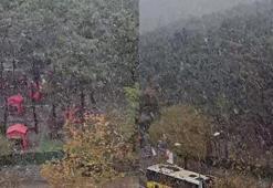 İstanbul'da kar yağışı başladı