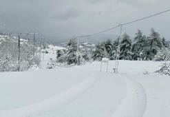 Kar yağışı tüm yurdu etkiledi; yollar kapandı, okullar tatil edildi