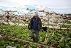 Antalya'da fırtına, yağmur ve hortum 4 bin 500 dekar tarım arazisine zarar verdi