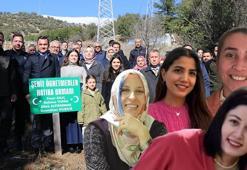 Üzerine kaya düşen otomobilde ölen 4 öğretmen için hatıra ormanı