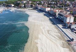 Prof. Dr. Tecer: Marmara'da müsilajın deniz yüzeyine çıkması muhtemel