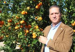 ‘İlaç kalıntılı mandalinalar Bulgaristan sınırında imha edildi'