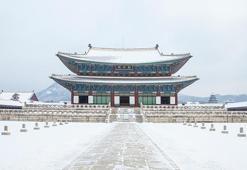 Güney Kore'de 100 yılın en yoğun kar yağışı etkili oldu