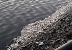 Muğla'da 'Tuzla Sulak Alanı' köpürdü