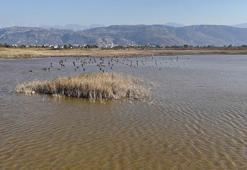 Kuruyan Milleyha Sulak Alanı, eski günlerine döndü