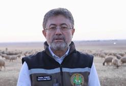 Bakan Yumaklı: Tüketicilerimizin uygun fiyatla kırmızı ete ulaşımını sağlamak için çalışıyoruz