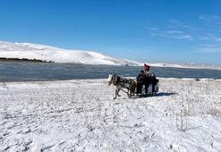 Çıldır Gölü'nün yüzeyi kısmen dondu