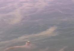 Prof. Dr. Sarı: Müsilaj örümcek ağı gibi bütün Marmara'yı sarmış durumda