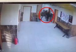 Ağabey, öğretmen kardeşinin tartıştığı meslektaşını okulda darbetti; o anlar kamerada