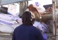 76 ilde 'Narkoçelik' operasyonları: 2 bin 248 gözaltı