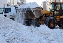Erzurum'da günde 970 kamyon kar, şehir dışına taşınıyor