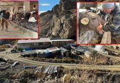 7'nci kez taşınan ilçede 'teleferiksiz besicilik' ile verim arttı