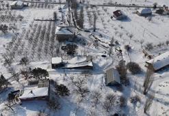 Ahırın çatısı çöktü, inekleri dışarıda kalınca yardım istedi