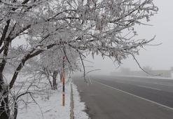 Bitlis eksi 13,8'i gördü; ağaçlar kırağı ile kaplandı