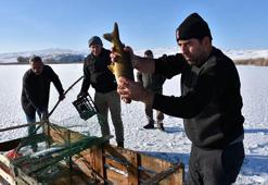 Buz tutan göllerde 'Eskimo' usulü balık avı