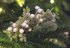 Westminster Abbey, Noel için süslendi