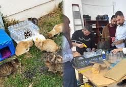Engelliler, gönüllü öğrencilerle atık malzemelerden kedi evi yaptı