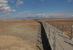 301 kuş türüne ev sahipliği yapan Sultan Sazlığı için ‘kuraklık’ uyarısı