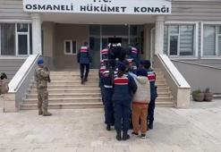 Banka hesaplarında 385 milyon liralık para hareketi olan dolandırıcılara operasyon: 14 tutuklama