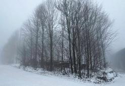 Kocaeli'nin yüksek kesimlerine kar yağdı