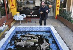 İzmirli fotoğrafçı, yılda 500 kaplumbağayı dükkanın önündeki havuzda besliyor