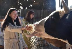 Üniversiteli kız kardeşler, devlet desteğiyle ata topraklarında hayvancılık yapıyor