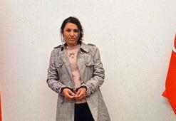 PKK'lı terörist, Şanlıurfa'da teslim oldu