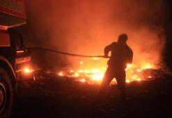 Çanakkale’de meyve bahçesindeki yangın büyümeden söndürüldü