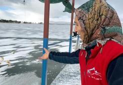 Yüzeyi buz tutan Çıldır Gölü'nde avlanamayan kuşları elleriyle besliyor