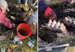 ABD’de bir evin bahçesinde mastodon fosili bulundu