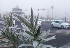 Diyarbakır'da uçak seferlerine 'sis' engeli