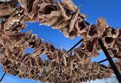 İstanbul'a götürülmek için kesilen kazlar direklere asılarak kurutulmaya başlandı